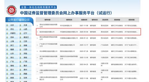 青岛宸芯科技IPO辅导验收 信息技术咨询服务的战略价值与实务要点